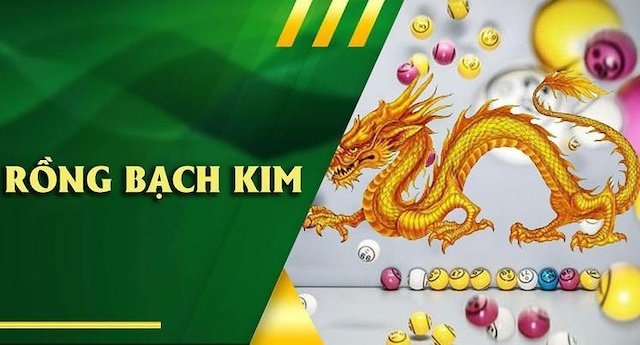 Tổng quan về hệ thống Rồng Bạch Kim